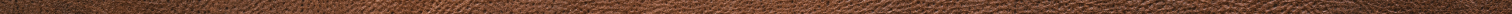 Footer divider
